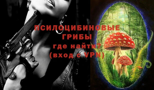 первитин Новозыбков