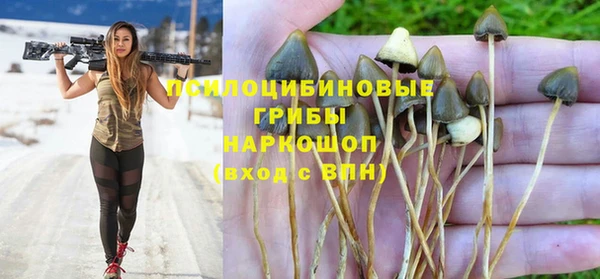 первитин Новозыбков